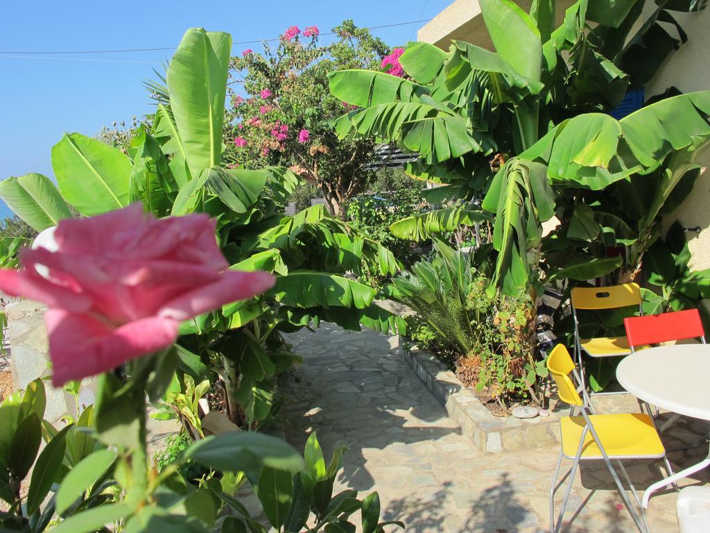Porto Kastri Studios Pokoj fotografie
